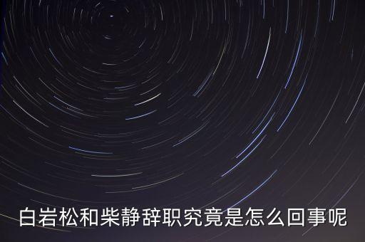 柴靜為什么辭職，白巖松和柴靜辭職究竟是怎么回事呢