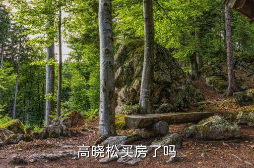 高曉松為什么不買(mǎi)房，高曉松買(mǎi)房了嗎