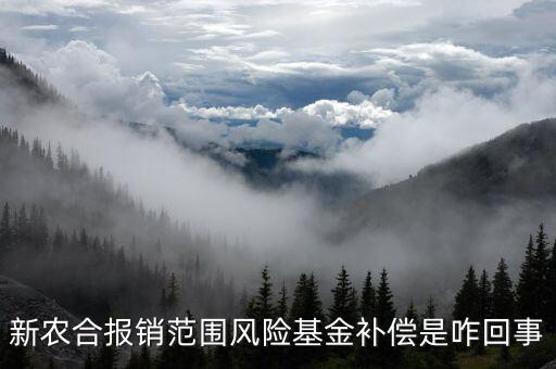 什么是政府風險補償基金，政府風險補償基金屬于哪個企業(yè)會計科目