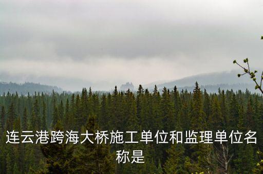 中交二航局什么平大橋，泰州長(zhǎng)江公路大橋施工單位是