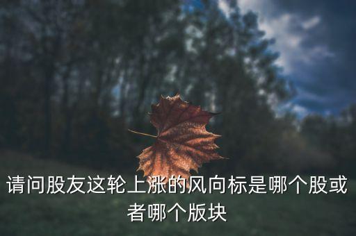 請問股友這輪上漲的風(fēng)向標(biāo)是哪個股或者哪個版塊