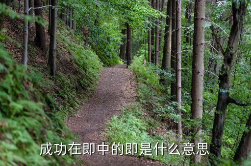 成功在即是什么意思，成功在即的即什么意思