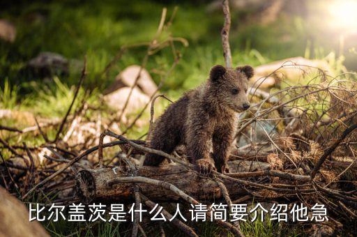 比爾蓋茨是個什么樣的人，比爾蓋茨是什么族裔的人