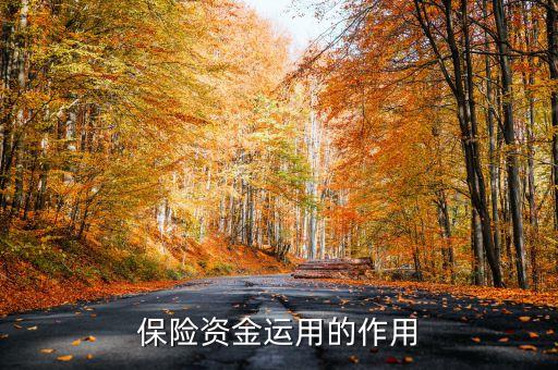 保險資金運(yùn)用余額什么意思，保險每年的資金運(yùn)用余額具體是什么