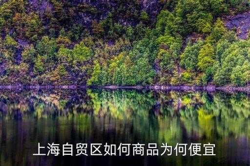 上海自貿(mào)區(qū)買什么便宜，上海購物什么商品比較便宜