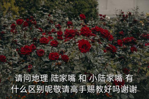 什么是金融集聚區(qū)，大連市的三個中心和一個聚集區(qū)指什么