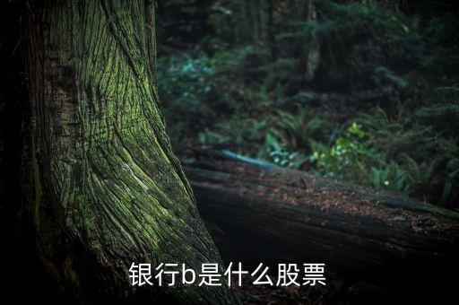 銀行b是什么股票交易，銀行b是什么股票