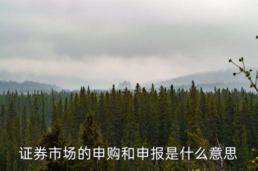 金融行業(yè)中的逐日申報是什么意思，外貿(mào)中到到銀行申報是什么意思申報什么呢哪位高人指點一下謝