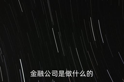 美國住宅金融公司是干什么的，房地美和房利美在美國算什么性質(zhì)的金融機(jī)構(gòu)