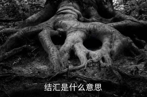 結匯是什么意思