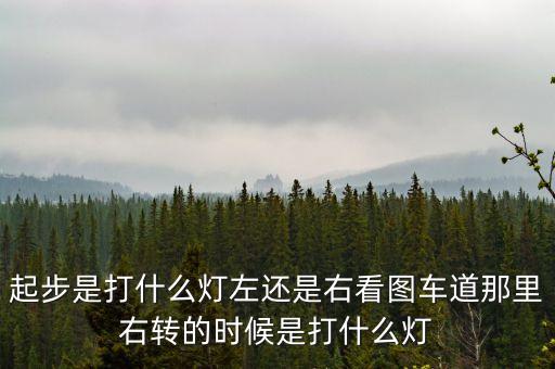 駕駛打右燈和左燈什么意思啊，起步是打什么燈左還是右看圖車道那里右轉的時候是打什么燈