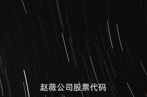 趙薇買的什么股票代碼，范冰冰 趙薇 股票5億買的什么股票
