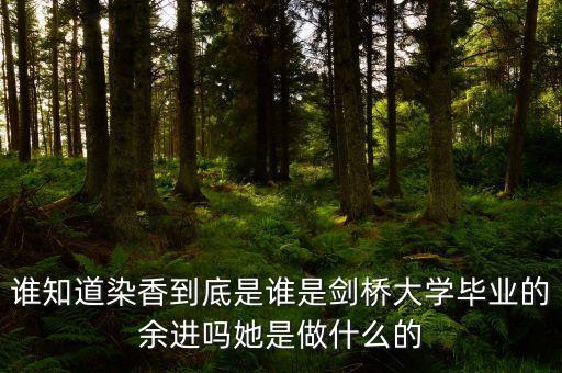 麥肯錫合伙人是什么，誰知道染香到底是誰是劍橋大學畢業(yè)的余進嗎她是做什么的