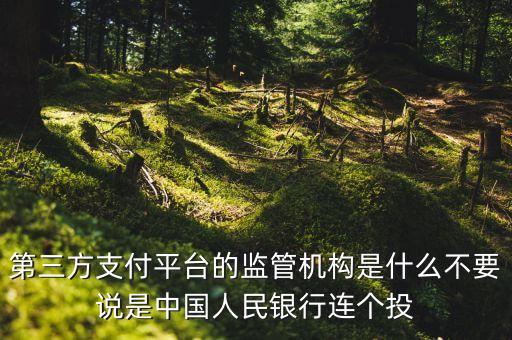 第三方支付平臺(tái)由什么機(jī)構(gòu)授權(quán)，第三方支付平臺(tái)的監(jiān)管機(jī)構(gòu)是什么不要說是中國(guó)人民銀行連個(gè)投
