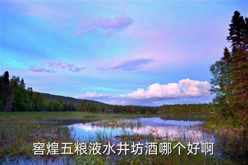 水井坊的高端品牌是什么，水井坊在哪買的好