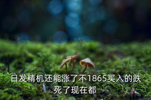 日發(fā)精機(jī)為什么一直跌，002009 怎么老跌呀