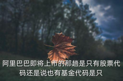 為什么阿里先選擇股票型基金，阿里巴巴即將上市的那趟是只有股票代碼還是說也有基金代碼是只