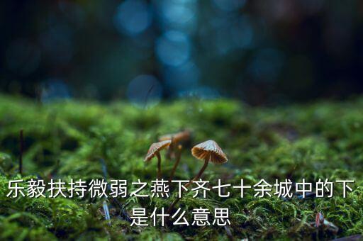 什么是進口替代戰(zhàn)略，樂毅扶持微弱之燕下齊七十余城中的下是什么意思