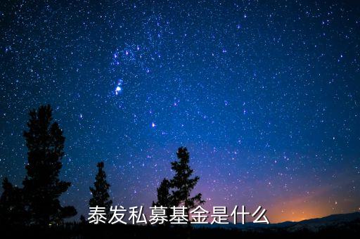 000263基金是什么基金，國金金騰通貨幣c是一種什么基金