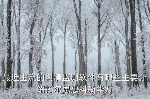 拓爾思和天璣科技主要做什么，天璣股票計劃是哪個公司推出的是做什么的