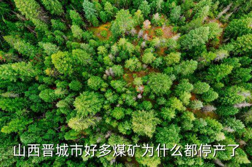 為什么礦山現(xiàn)在停產(chǎn)，為什么現(xiàn)在的礦業(yè)幾乎全部停產(chǎn)