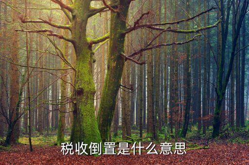 稅負倒置是什么意思，稅收倒置是什么意思