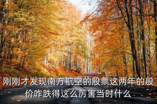 南航美股是什么意識，海南航空股票前帶lr300什么意思
