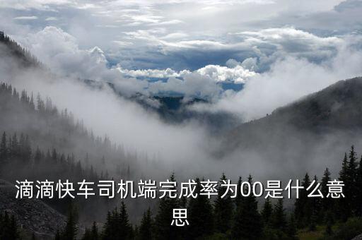 滴滴快車完成率是什么意思，滴滴快車成交率百分之零啥意思