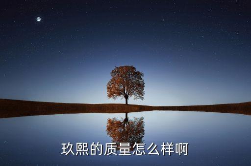 玖熙鞋子屬于什么檔次，玖熙的鞋子怎么樣 NINE WEST