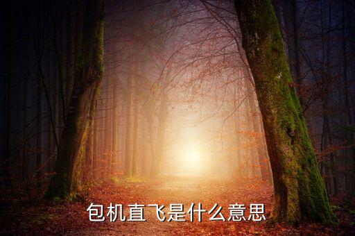 什么是包機(jī)航班，包機(jī)直飛是什么意思