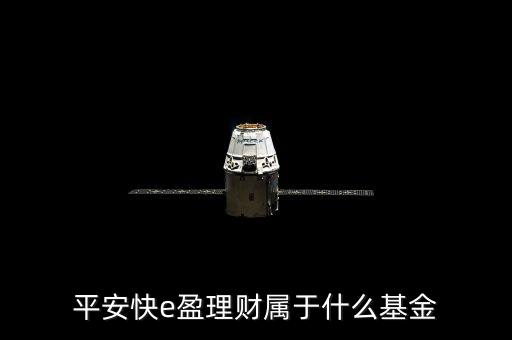 519173是什么基金，我發(fā)現(xiàn)基金有各種代碼有125等開頭的每種開頭都是什么含義