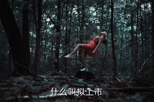 什么叫擬上市，什么是擬上市