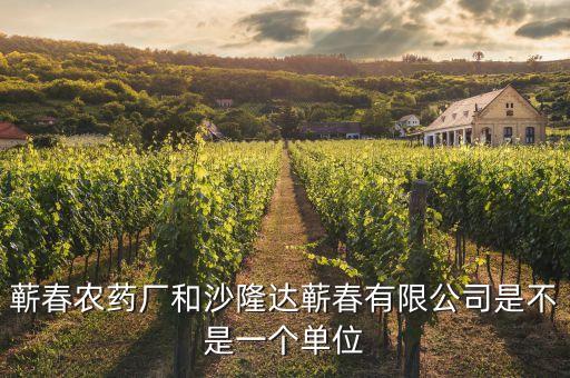 蘄春汪潮涌投資了什么，蘄春農(nóng)藥廠和沙隆達(dá)蘄春有限公司是不是一個(gè)單位