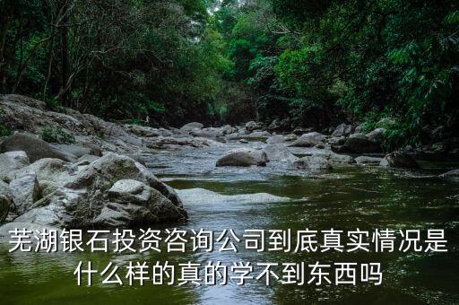 伯威控股是什么，威凌控股公司是做什么的