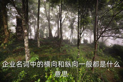什么是企業(yè)橫向發(fā)展，什么是橫向一體化