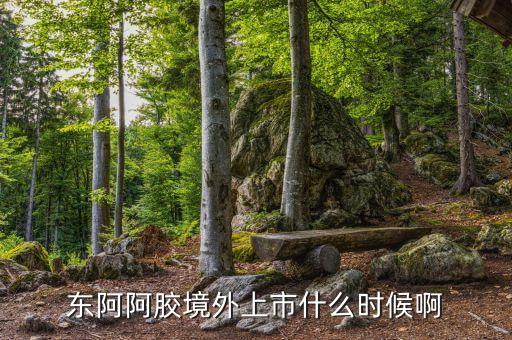 東阿阿膠股票什么時(shí)候發(fā)行，東阿阿膠境外上市什么時(shí)候啊