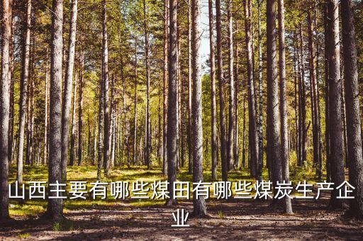 昊鑫礦業(yè)生產(chǎn)什么，晉煤金鼎公司都有哪些煤礦
