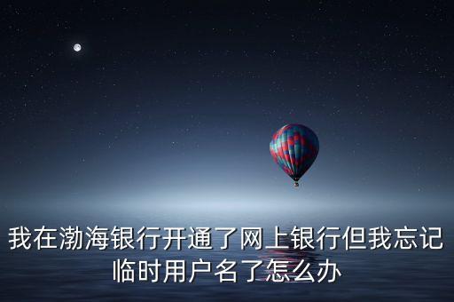 我在渤海銀行開通了網上銀行但我忘記臨時用戶名了怎么辦