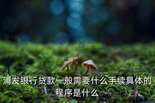 浦發(fā)銀行網(wǎng)貸通要什么條件，TB支持浦發(fā)  浦發(fā)開通網(wǎng)銀要什么條件比如要帶點(diǎn)什么的