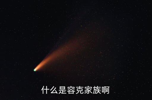 容克計劃是什么，什么是容克家族啊