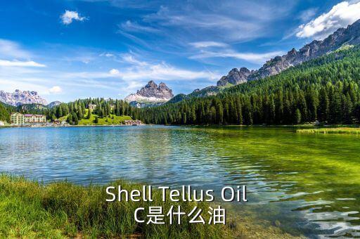 權(quán)益油是什么，Shell Tellus Oil C是什么油