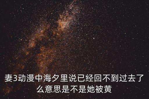 妻3動(dòng)漫中海夕里說已經(jīng)回不到過去了么意思是不是她被黃