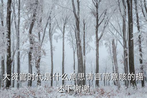 什么是泛資產(chǎn)管理時代，大資管時代是什么意思請言簡意賅的描述下謝謝