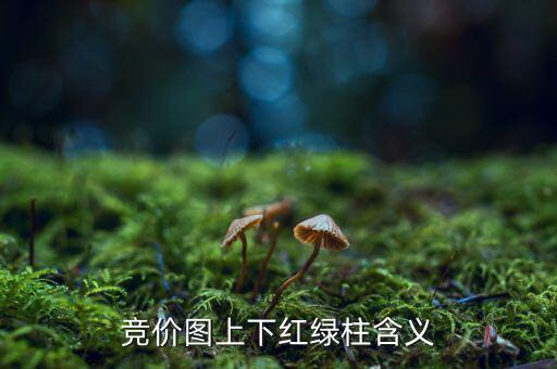 股票競價圖是什么意思，股票競價圖怎么看