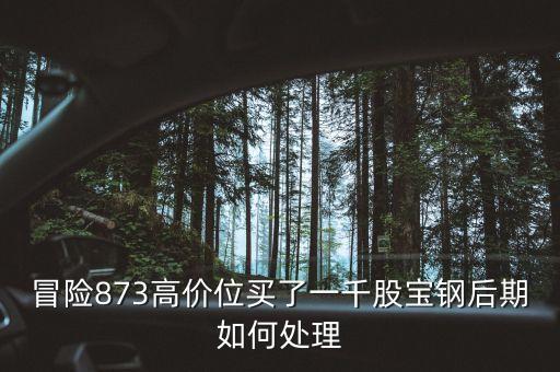 為什么大寧板塊房?jī)r(jià)瘋漲，8月11日房地產(chǎn)板塊漲幅領(lǐng)頭的原因