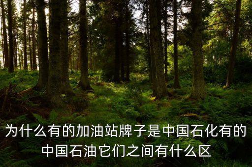 為什么中石化和中石油不，中石油中石化中海油為什么不合并