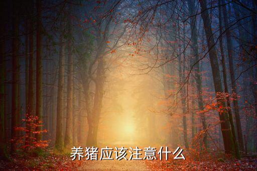 養(yǎng)豬應該注意什么