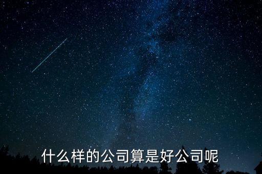 什么樣的公司是比較好的，有什么樣的公司是比較好的