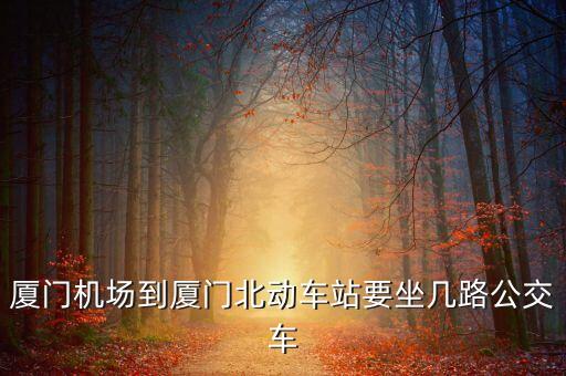 廈門(mén)機(jī)場(chǎng)到廈門(mén)北動(dòng)車站要坐幾路公交車