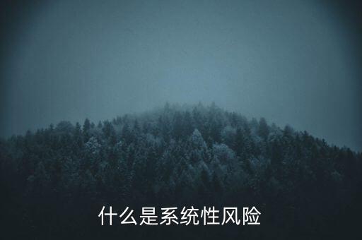 什么是系統(tǒng)性區(qū)域性風(fēng)險(xiǎn)，什么是系統(tǒng)性風(fēng)險(xiǎn)與區(qū)域性風(fēng)險(xiǎn)